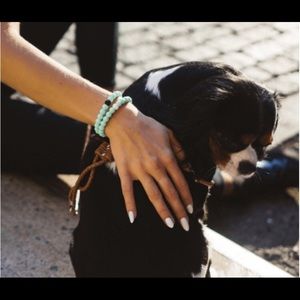 Animal Rescue Lokai Bracelet